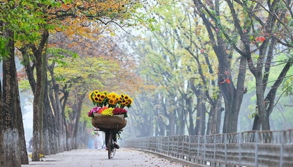 Du lịch Hà Nội mùa thu 2026: 10 trải nghiệm đáng thử