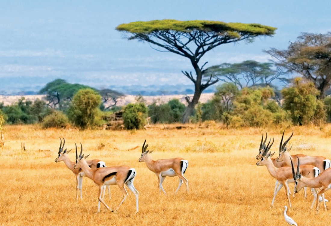 Nam Phi - Thiên đường bí ẩn