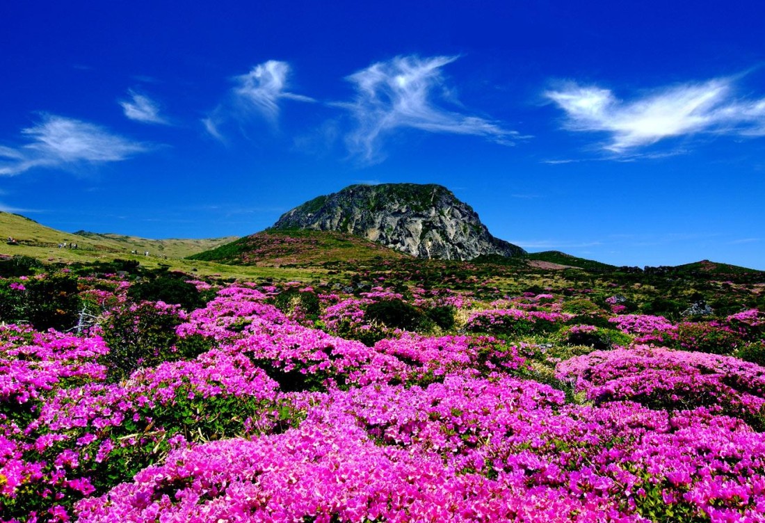 Nam Phi - Thiên đường bí ẩn