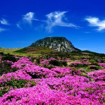 Nam Phi - Thiên đường bí ẩn