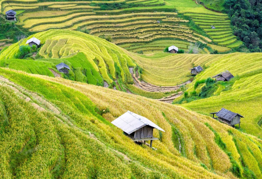 Mộc Châu - Cầu Kính Bạch Long 2N1D (Homestay)