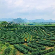 Tây Bắc số 1 (Sapa - Lai Châu - Điện Biên - Mộc Châu - Mai Châu) 5N4D