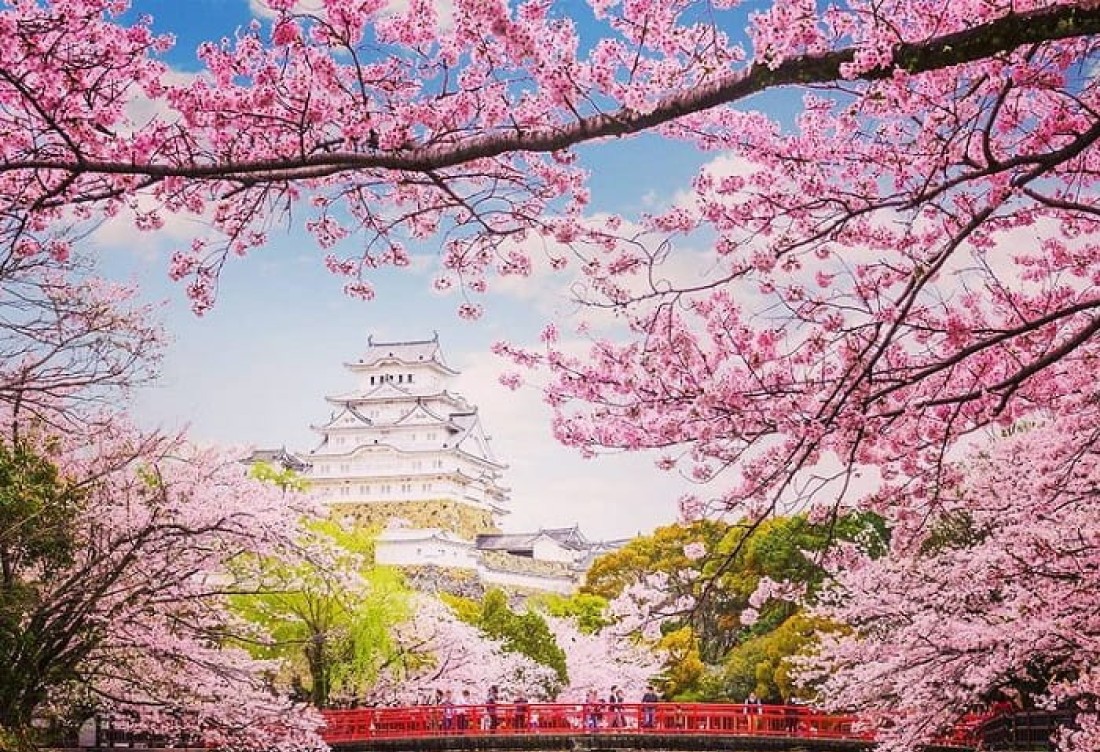 NHẬT BẢN: OSAKA - KYOTO - PHÚ SĨ - TOKYO 5N5Đ