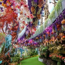 SINGAPORE - THÁC NƯỚC JEWEL - CHÙA RĂNG PHẬT 3N2Đ