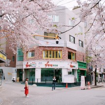 HÀN QUỐC (EWORLD): BUSAN - DAEGU - SEOUL 5N5Đ