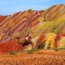 ĐÔN HOÀNG - GIA DỤC QUAN - TRƯƠNG DỊCH - TÂY NINH - 7N7Đ