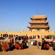 ĐÔN HOÀNG - GIA DỤC QUAN - TRƯƠNG DỊCH - TÂY NINH - 7N7Đ