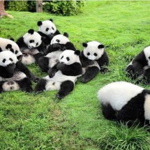 THÀNH ĐÔ - CỬU TRẠI CÂU - LẠC SƠN - CV GẤU TRÚC 6 ngày 5 đêm