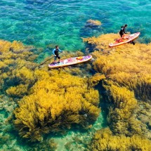 QUY NHƠN - TUY HÒA 4N3D