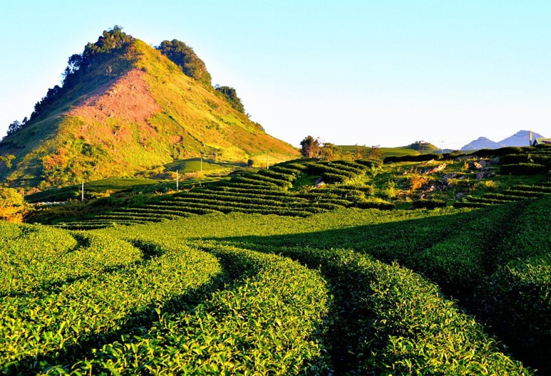 Tây Bắc (Mù Cang Chải - Sapa - L.Châu - Đ.Biên - M.Châu - M.Châu) 5N5D