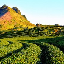 Tây Bắc (Mù Cang Chải - Sapa - L.Châu - Đ.Biên - M.Châu - M.Châu) 5N5D