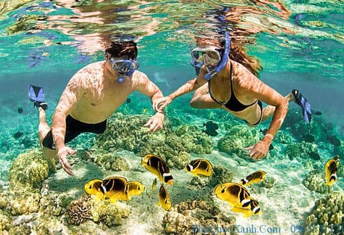 Phu Quoc Snorkeling Tour 1 Day
