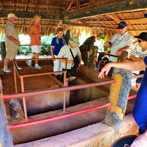 Long Tan - Nui Dat Battle Field 1 Day Tour  Read