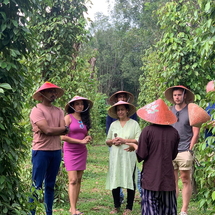 North-South Of Phu Quoc Island 1-Day Tour