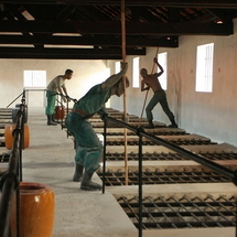 Con Dao Island Tour 4 Days