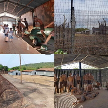 North-South Of Phu Quoc Island 1-Day Tour