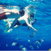 Phu Quoc Snorkeling Tour 1 Day