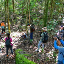 North-South Of Phu Quoc Island 1-Day Tour