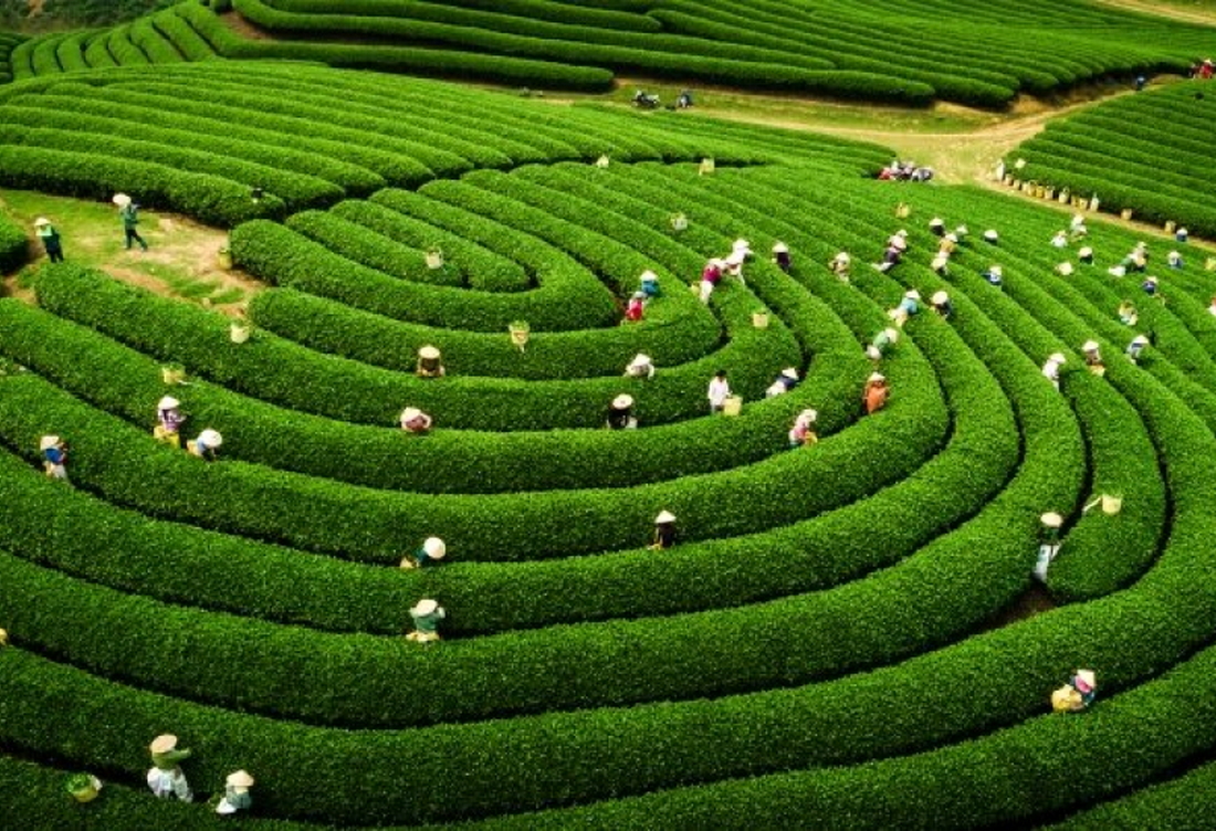 HANOI - HOA BINH - SON LA - DIEN BIEN - SAPA 6D5N