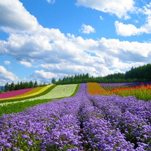 o Da Lat & Nha Trang 5-Days 4 Nights