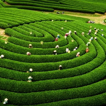 HANOI - HOA BINH - SON LA - DIEN BIEN - SAPA 6D5N