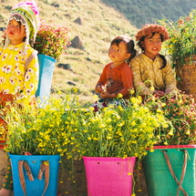 HANOI - HOA BINH - SON LA - DIEN BIEN - SAPA 6D5N