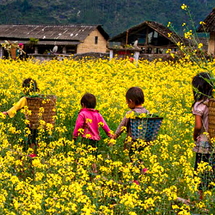 HANOI - HOA BINH - SON LA - DIEN BIEN - SAPA 6D5N