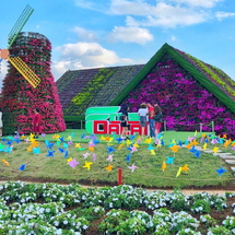 Dalat Tour 3 Days 2 Nights Hanoi