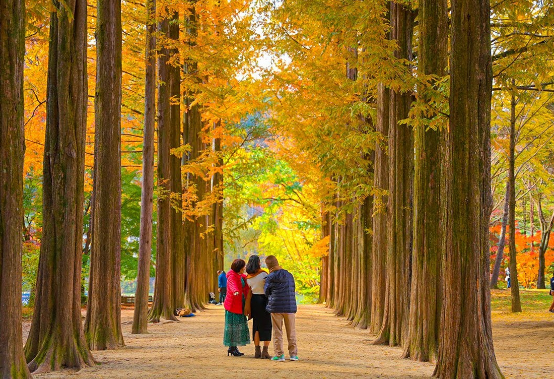 SEOUL – NAMI – LOTTE WORLD