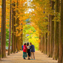 SEOUL – NAMI – LOTTE WORLD