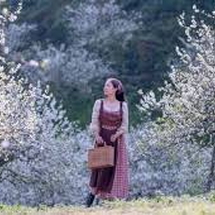 Tây Bắc số 2 (Sapa - Lai Châu - Điện Biên - Mộc Châu - Mai Châu) 5N4D