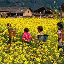 Tây Bắc số 3 (Sapa - Lai Châu - Điện Biên - Mộc Châu - Mai Châu) 4N4D
