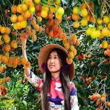 SÀI GÒN - MỸ THO - CHÂU ĐỐC - CẦN THƠ - CHỢ NỔI 3N2D