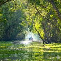 SGN -ĐỒNG THÁP - CHÂU ĐỐC - NÚI CẤM - RỪNG TRÀ SƯ 2N1D