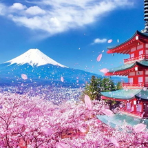 NHẬT BẢN:OSAKA – KYOTO – NAGOYA – PHÚ SĨ – TOKYO 6N5Đ LỄ HỘI HOA ANH ĐÀO