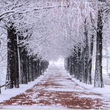 BAY KOREAN AIR : TRƯỢT TUYẾT - SEOUL - NAMI - LOTTE WORLD 5N5Đ TẾT ÂM LỊCH