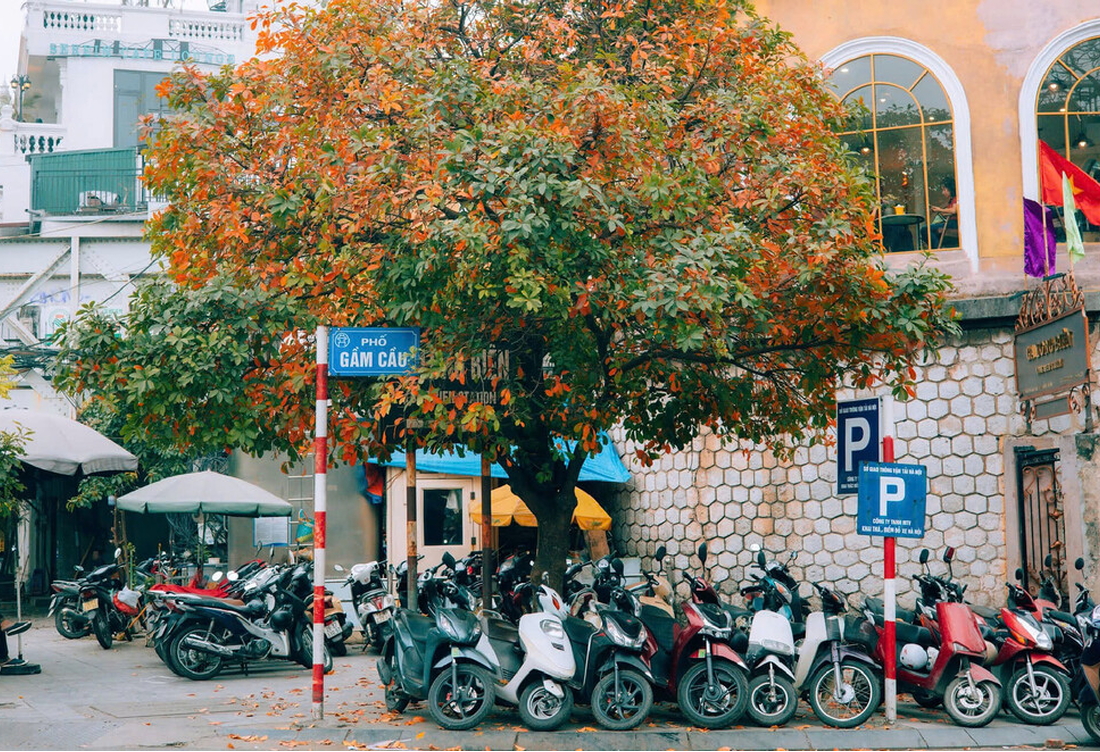 Northern Vietnam Tour 6 Days – Hanoi Halong Ninh Binh