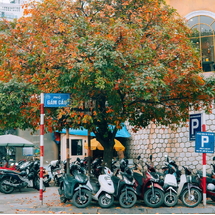 Northern Vietnam Tour 6 Days – Hanoi Halong Ninh Binh