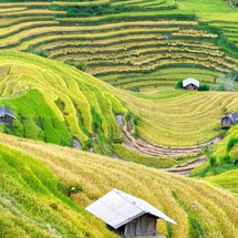 Rice Terraces to Limestone Peaks