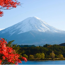 LỄ GIỖ TỔ: TOKYO – NÚI PHÚ SĨ – NAGOYA – KYOTO – OSAKA 6N5Đ BAY VIETNAM AIRLINE copy