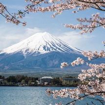 LỄ 30/04: TOKYO – NÚI PHÚ SĨ – NAGOYA – KYOTO – OSAKA 6N5Đ BAY VIETNAM AIRLINE