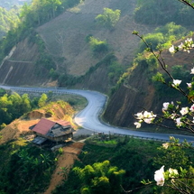 Vòng Cung Tây Bắc 4N4Đ: Sapa – Lai Châu – Điện Biên – Mộc Châu – Mai Châu | Hành Trình Chinh Phục Nóc Nhà Đông Dương