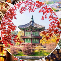 TOUR HÀN QUỐC 5 NGÀY 5 ĐÊM: SEOUL – NAMI – EVERLAND | HÀNH TRÌNH TRẢI NGHIỆM XỨ SỞ KIM CHI TRỌN VẸN