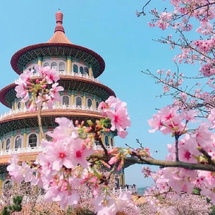 Tour Đài Loan 5N4Đ: Cao Hùng – Đài Trung – Đài Bắc | Bay Vietjet | Trọn Gói Giá Tốt 2026