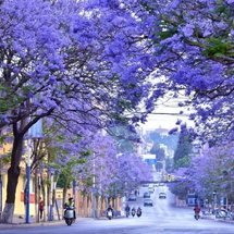 Tour Côn Minh 4 Ngày 3 Đêm – Bay Ruili Airlines | Thành Phố Mùa Xuân – Hoa Phượng Tím – Công Viên 1903