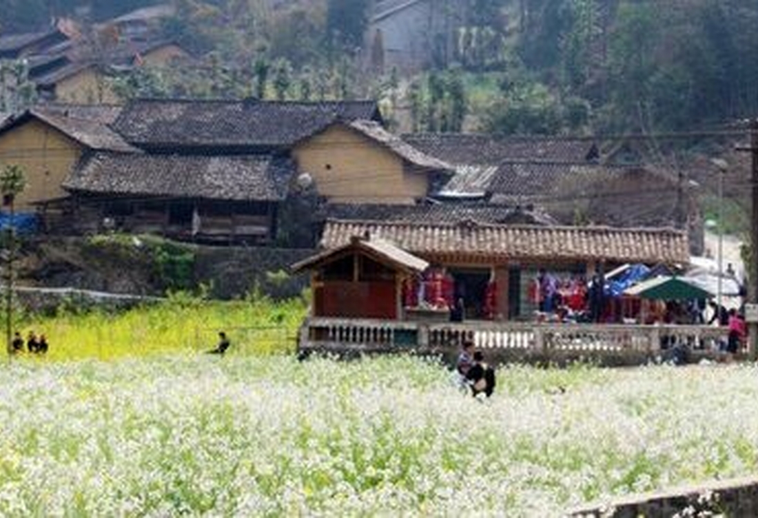 Tour Hà Giang 3 Ngày 2 Đêm: Cao Nguyên Đá Đồng Văn – Mã Pì Lèng – Lũng Cú