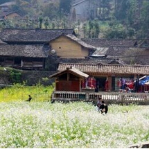 Tour Hà Giang 3 Ngày 2 Đêm: Cao Nguyên Đá Đồng Văn – Mã Pì Lèng – Lũng Cú