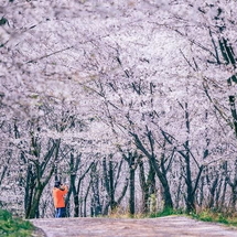 Tour Nam Ninh – Quý Dương 4 Ngày 3 Đêm: Vạn Mẫu Hoa Đào – Thanh Nham Cổ Trấn – Giáp Tú Lầu