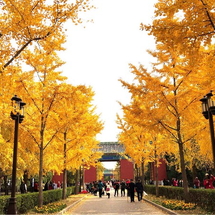 Tour Cung Đường Vàng Trung Hoa 7 Ngày 6 Đêm: Bắc Kinh – Tô Châu – Hàng Châu – Tây Đường – Thượng Hải