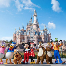Tour Thượng Hải – Ô Trấn – Hàng Châu 6 Ngày 5 Đêm | Option Disneyland